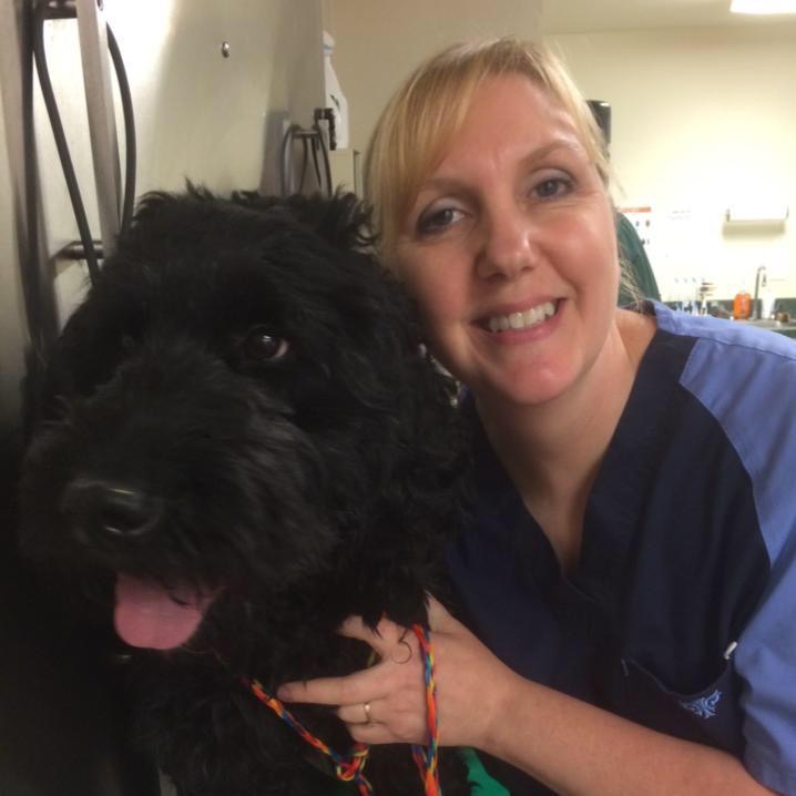 Clyde Park Veterinary Clinic - Wyoming, MI - Jayne Chase, Veterinary Assistant Clyde Park Veterinary Clinic - Wyoming, MI - Jayne Chase, Veterinary Assistant