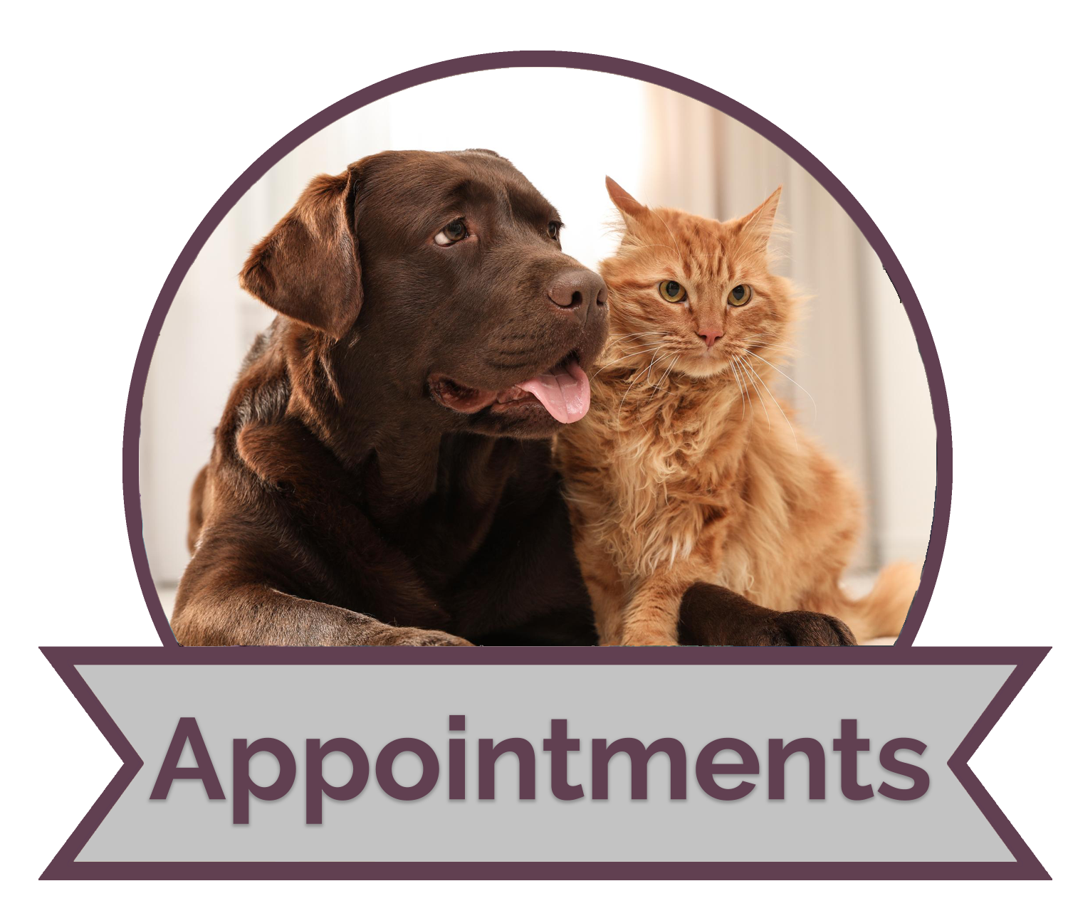 Appointments