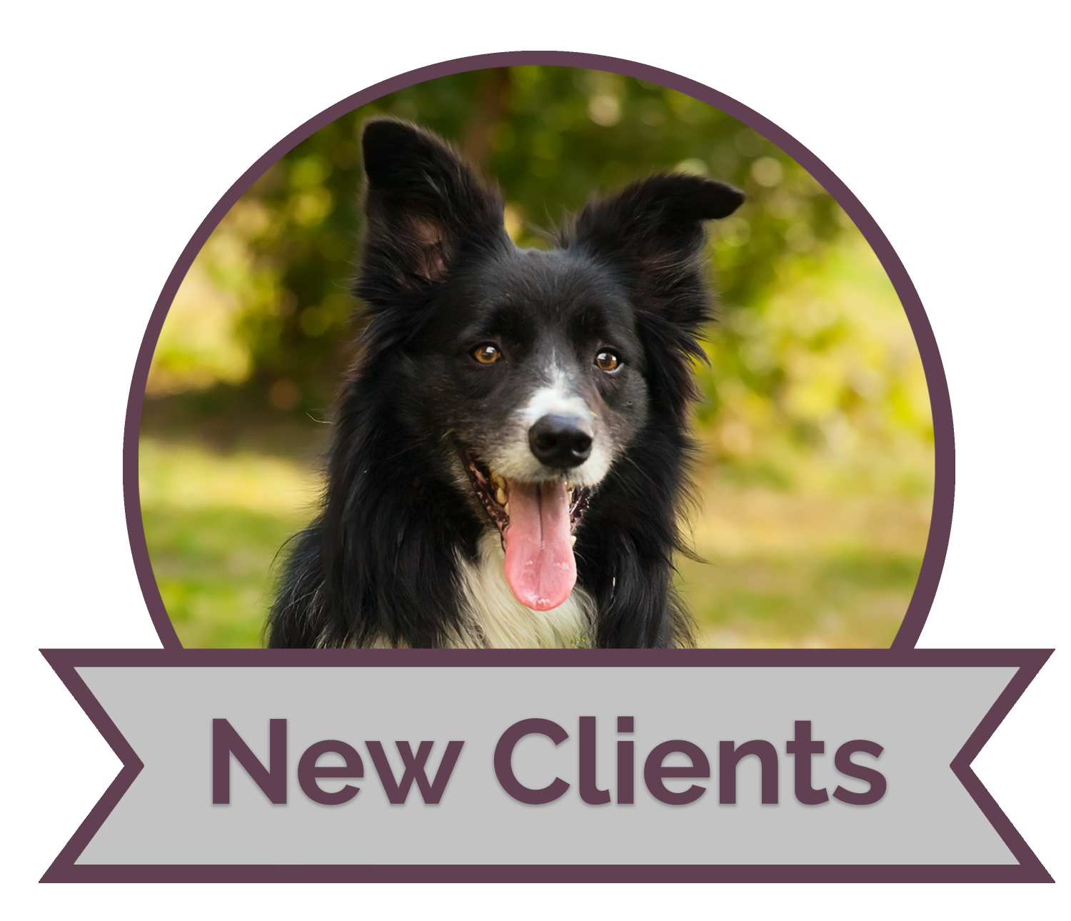 New Clients