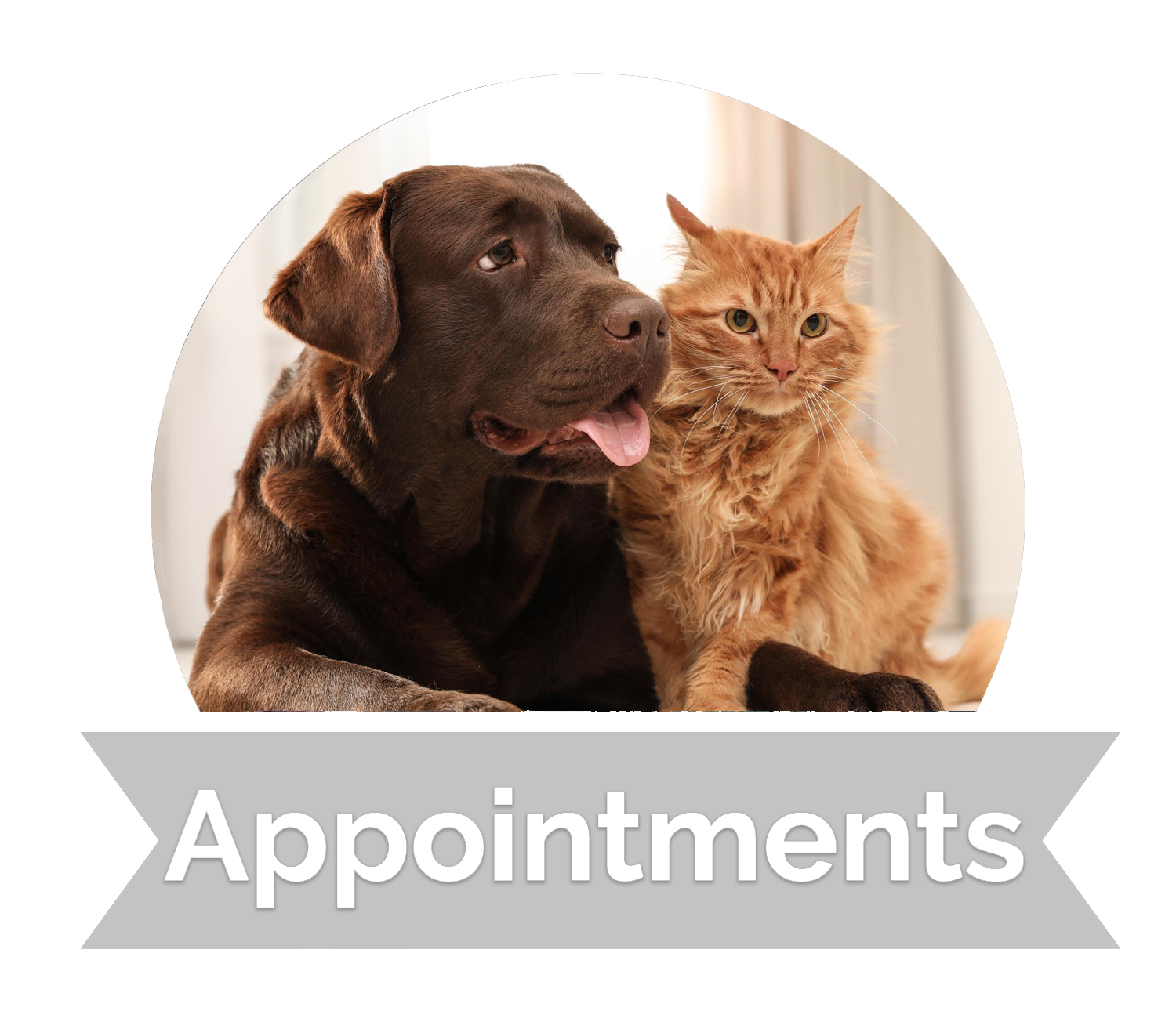 Appointments